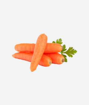 Carrot