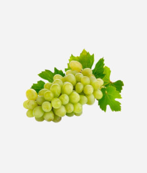 Grapes Green Globe